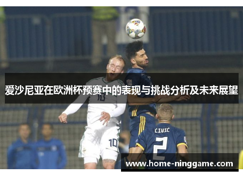 爱沙尼亚在欧洲杯预赛中的表现与挑战分析及未来展望