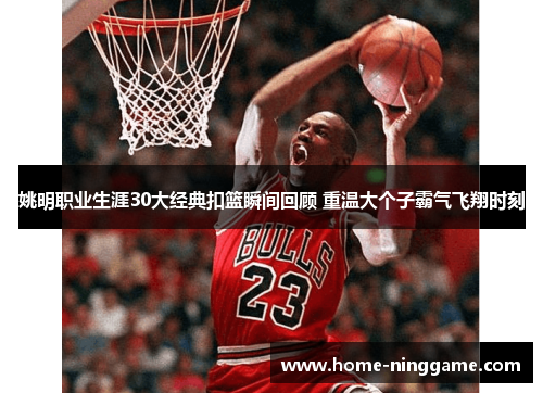 姚明职业生涯30大经典扣篮瞬间回顾 重温大个子霸气飞翔时刻